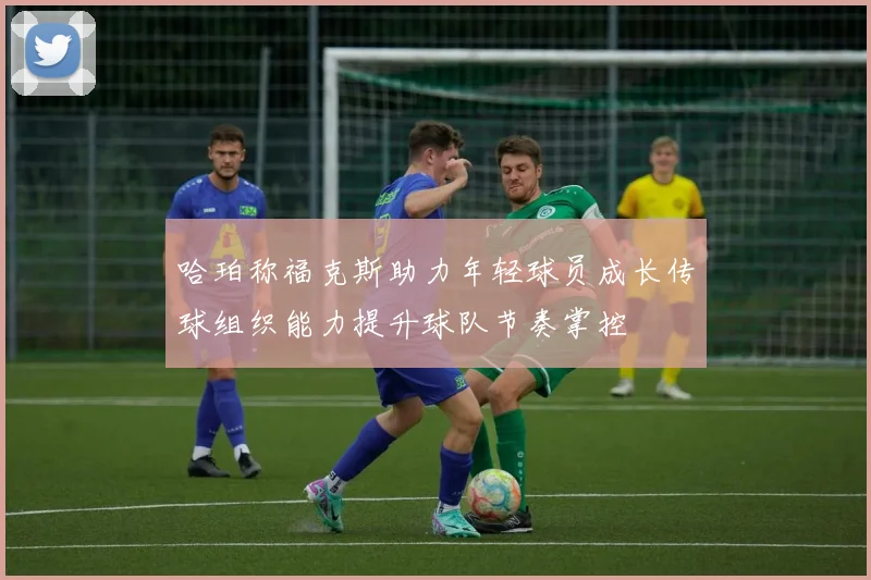哈珀称福克斯助力年轻球员成长传球组织能力提升球队节奏掌控