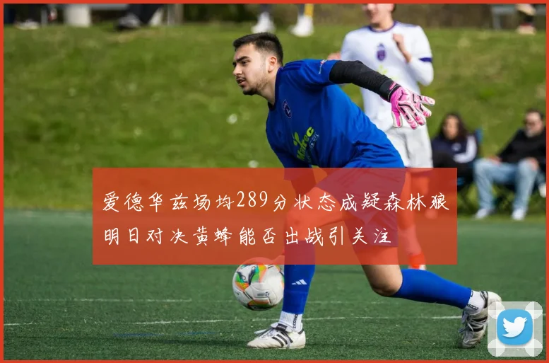 爱德华兹场均289分状态成疑森林狼明日对决黄蜂能否出战引关注